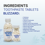 Personal Size Fluoridated Blizzard/Minty Toothpaste Tabs (100 Tabs)